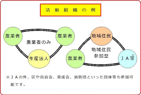 活動組織の例