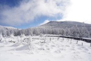 積雪の北横岳