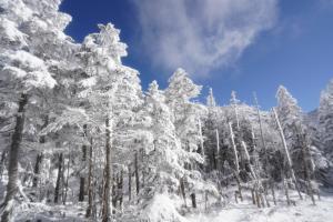 積雪の北横岳の様子