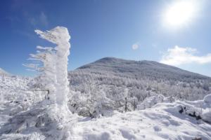 北横岳の樹氷