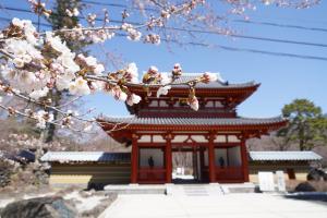 聖光寺の桜