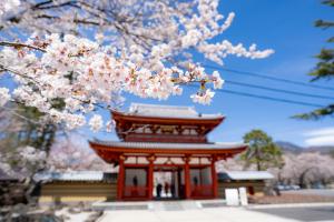 4月22日の聖光寺の桜