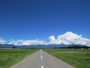 初夏の八ヶ岳