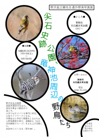 野鳥展ポスター