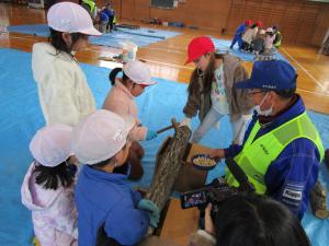 木槌でコマ菌を打つ１・2年生