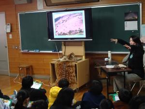 シカと森と私たち