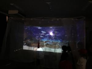 水槽のような映像