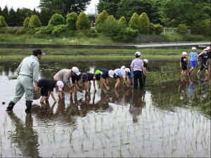 5年4部　田植え2