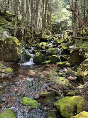 生徒はこの景色を見て　きれい　と感動していました