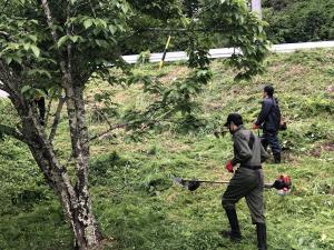 保護者の方が体育館裏の草刈りをしてくださっている様子