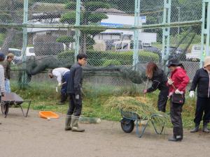 保護者の方と地域の方が一輪車で草を草捨て場に運んでくださっている様子。