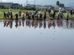 田んぼ代搔き