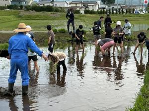 田んぼ1