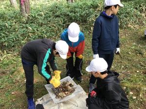学有林