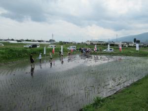 田植え1